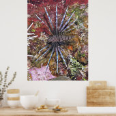 Poster Jeune poisson-lionne (Cuisine)