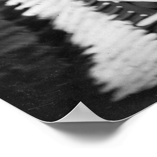 Poster Jeune queue tachetée, 1875 (Coin)