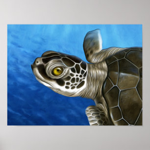 Poster Jeune tortue verte
