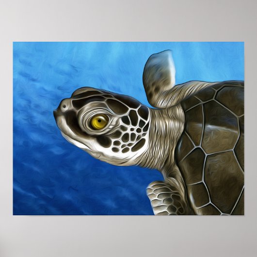 Poster Jeune tortue verte (Devant)