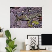 Poster Jeune Tuatara (Bureau à domicile)