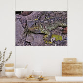 Poster Jeune Tuatara (Cuisine)