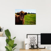 Poster Jeune vache Brown en champ de pâturage (Bureau à domicile)