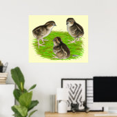 Poster Jeunes cailles de Bobwhite (Bureau à domicile)