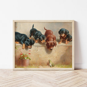 Poster Jeunes Chiens Dachshund Curieux Carl Reichert