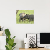 Poster Jeunes éléphants d'Inde / d'Asie (Bureau à domicile)