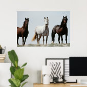 Poster Jeunes étalons sauvages (Bureau à domicile)