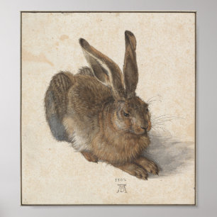 Poster Jeunes lièvres par Albrecht Durer