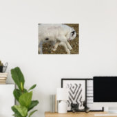 Poster Jeux Amigo (Bureau à domicile)