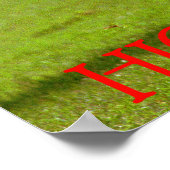 Poster jeux des montagnes (Coin)