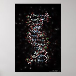 Poster Jewelled DNA