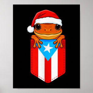 Poster Jibaro Coqui Frog Porto Rico Drapeau Boricua Cket 