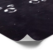 Poster Jiggly Bubly (Coin)