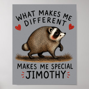 Poster Jimothy Chemise Raton laveur Seattle Ce Qui Rend D