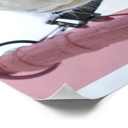 Poster Jingle Bells (Coin)