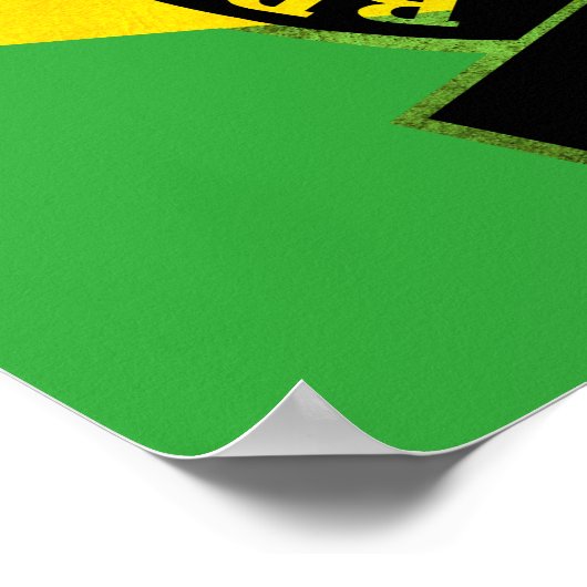 Poster Jiu-Jitsu (Coin)