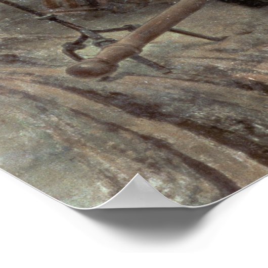 Poster Joanna le fou (Coin)