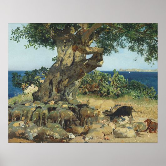 Poster Joaquin Sorolla - Le Carob Tree (Devant)