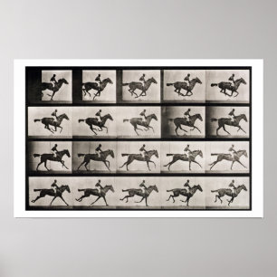 Poster Jockey sur un cheval galopant, plaque 627 de 'Anim