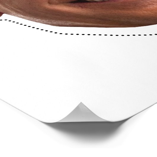 Poster Joe Biden Mask Cutout (Coin)