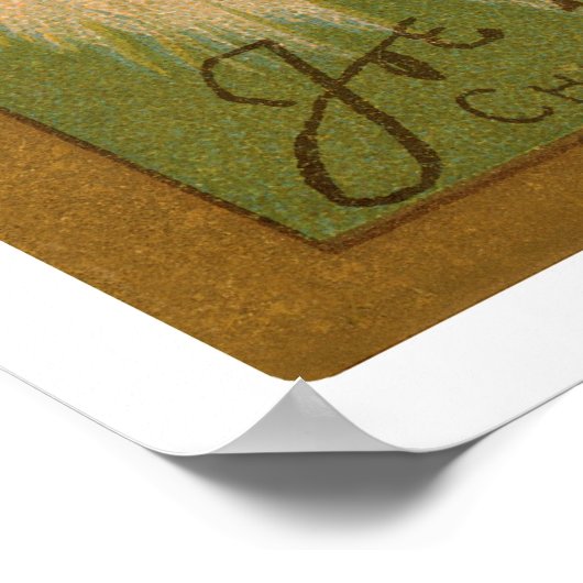 Poster Joe Tinker Cubs Baseball 1911 (Coin)