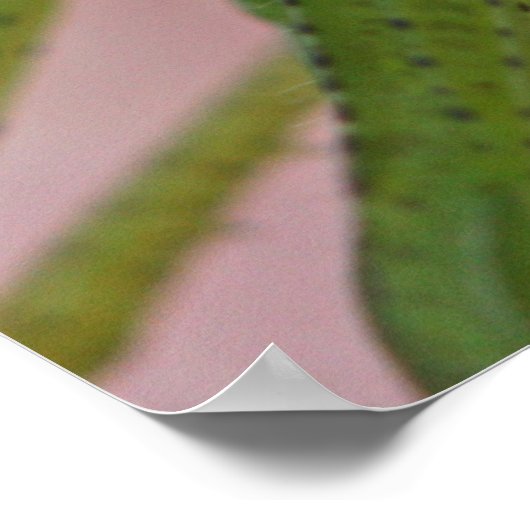 Poster Joel 2 Scripture (Coin)