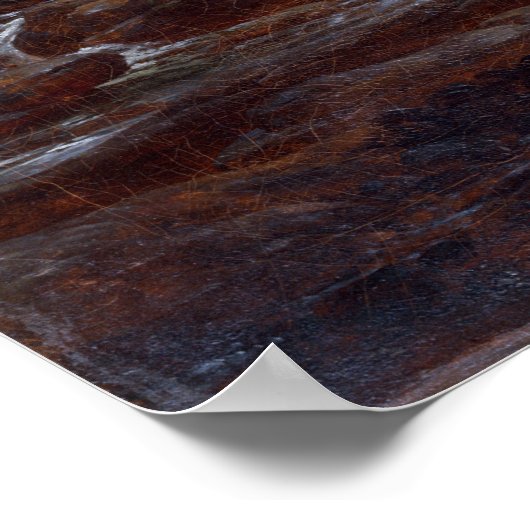 Poster Johan Christian Dahl Les basses chutes de Labrofos (Coin)