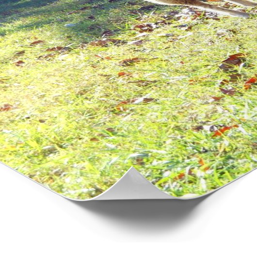 Poster John 10:27 (Coin)