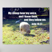 Poster John 10:27 (Devant)