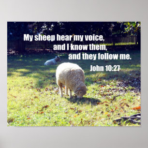 Poster John 10:27