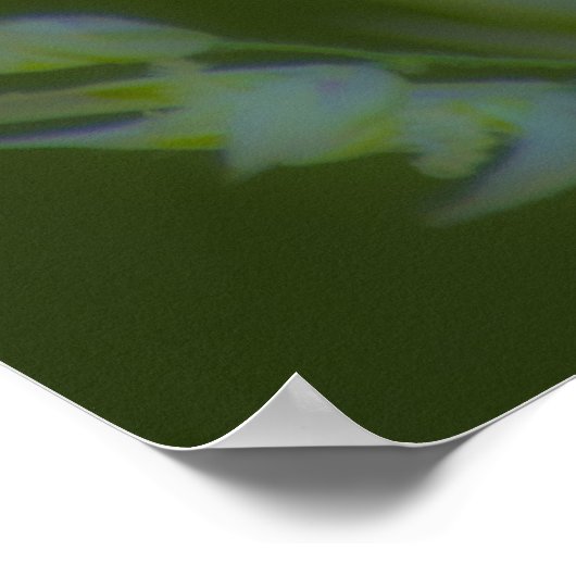 Poster John 13:34 (Coin)