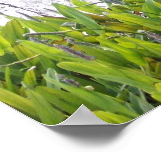 Poster John 14:6 (Coin)