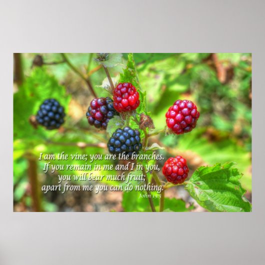 Poster John 15:5 (Devant)