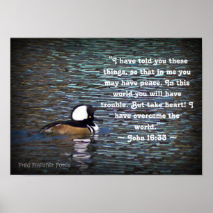 Poster John 16:33