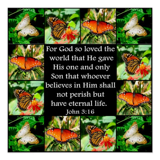 POSTER JOHN 3:16 BUTTERFLY DESIGN (Devant)