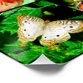 POSTER JOHN 3:16 BUTTERFLY DESIGN (Coin)