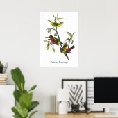 Poster John Audubon Painted Bunting Print (Bureau à domicile)