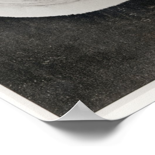 Poster John Bull (Coin)