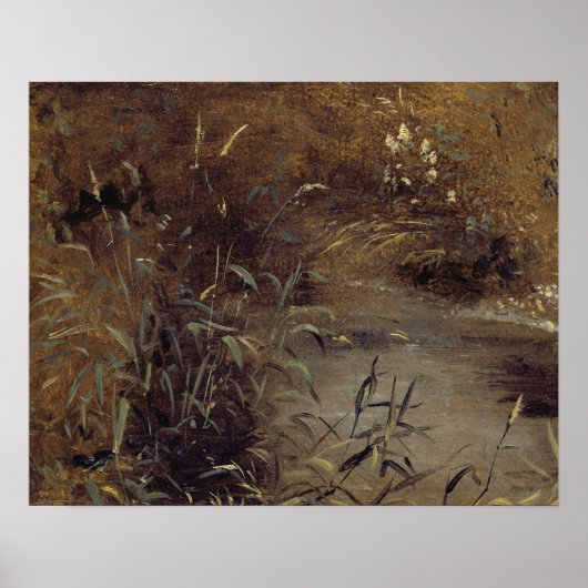 Poster John Constable | Rushes par un Pool, c.1821 (huile (Devant)