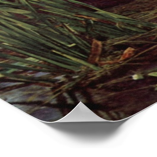 Poster John Everett Millais - Ophélie (Coin)