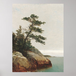 Poster John Frederick Kensett Ancien paysage de pins Impr