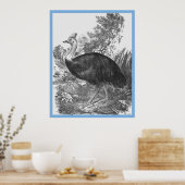 Poster John Gould's 'Birds Of Australia' ~ The Cassowary (Cuisine)