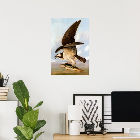 Poster John James Audubon Osprey et Weakfish (Bureau à domicile)