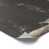 Poster John L. Sullivan - George Bellows (Coin)