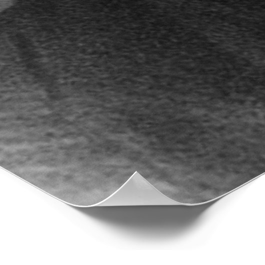 Poster john locke (Coin)