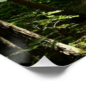 Poster John Muir Citation Chemin droit dans la photograph (Coin)