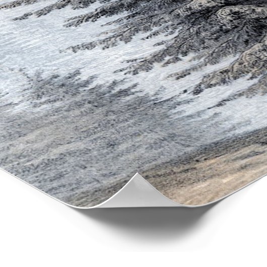 Poster John Muir Citation Forêt sauvage Imprimer (Coin)