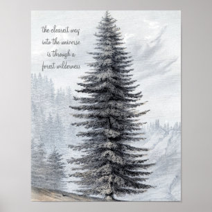 Poster John Muir Citation Forêt sauvage Imprimer