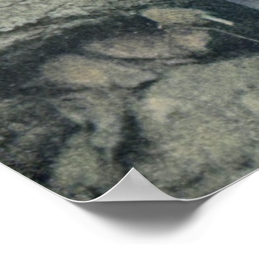 Poster John Muir - écrivain (Coin)