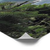 Poster John Muir : "Entre deux pins est une porte" (Coin)